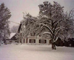 Farm